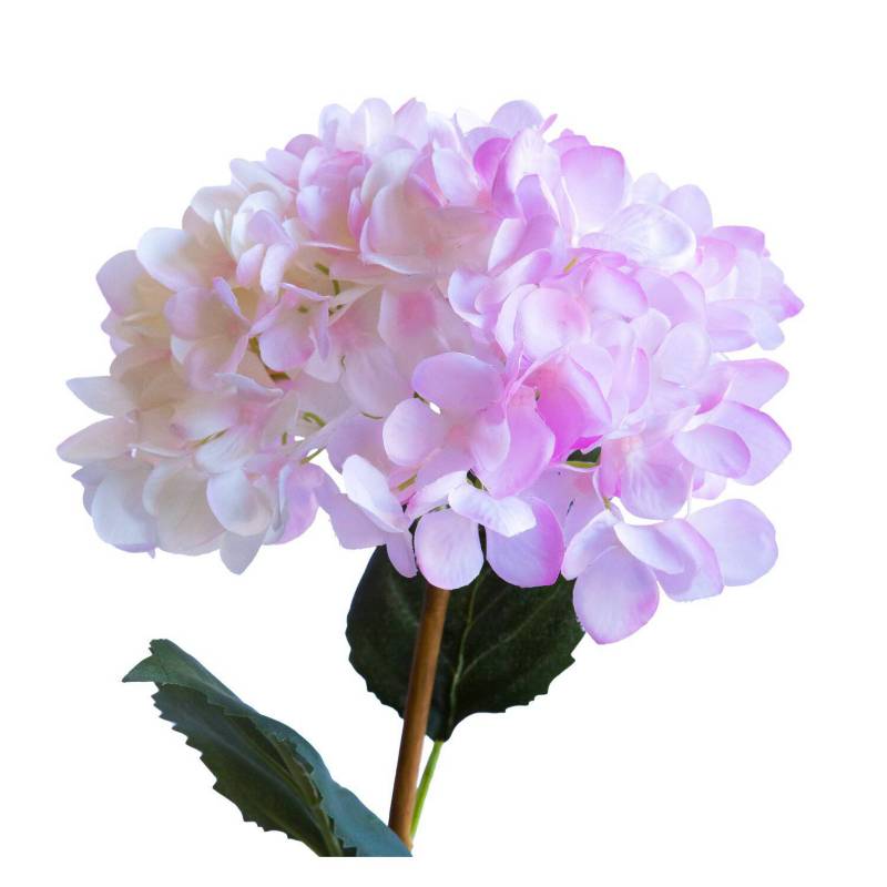 LE BOUQUET Hortensia Rosada/Blanca Flor Seda Artificial 66 Cm |  