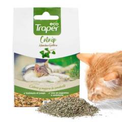 TRAPER - Traper Catnip Hierba Gatera Natural Gato