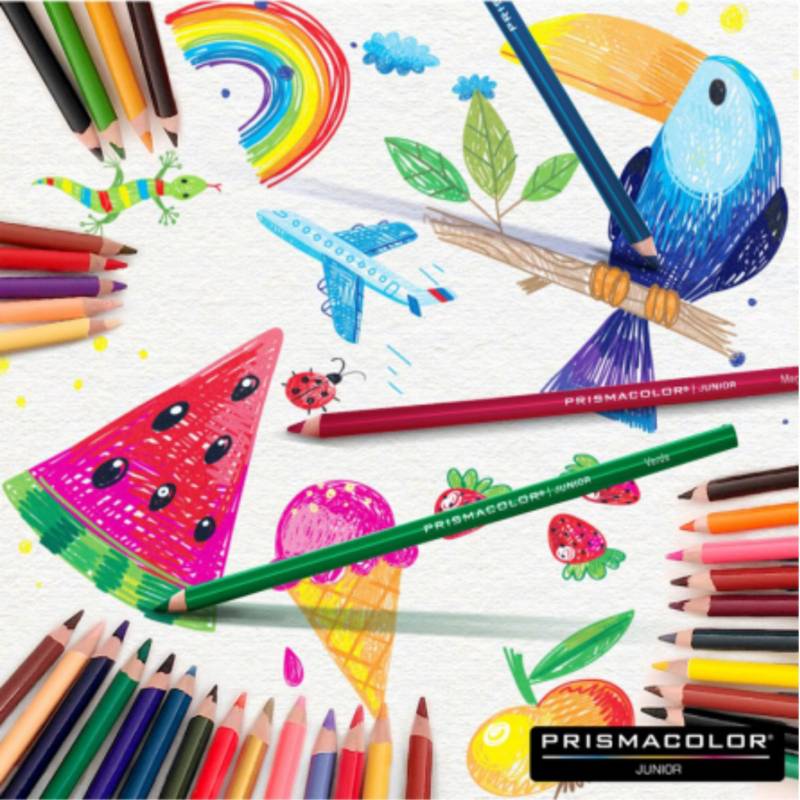 Prismacolor junior caja con 48 Colores : : Oficina y