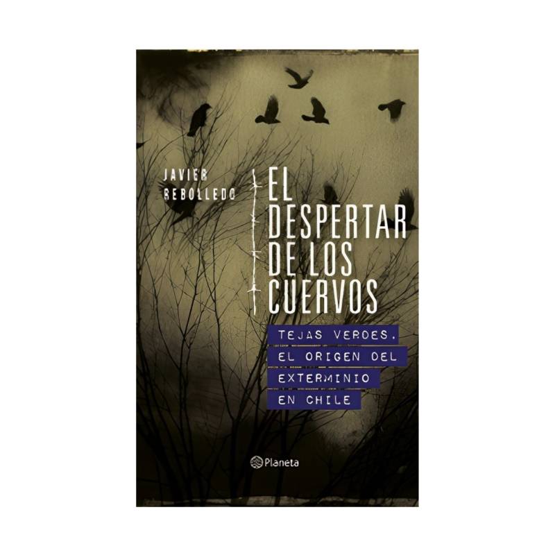 TOP10BOOKS Libro EL DESPERTAR DE LOS CUERVOS 