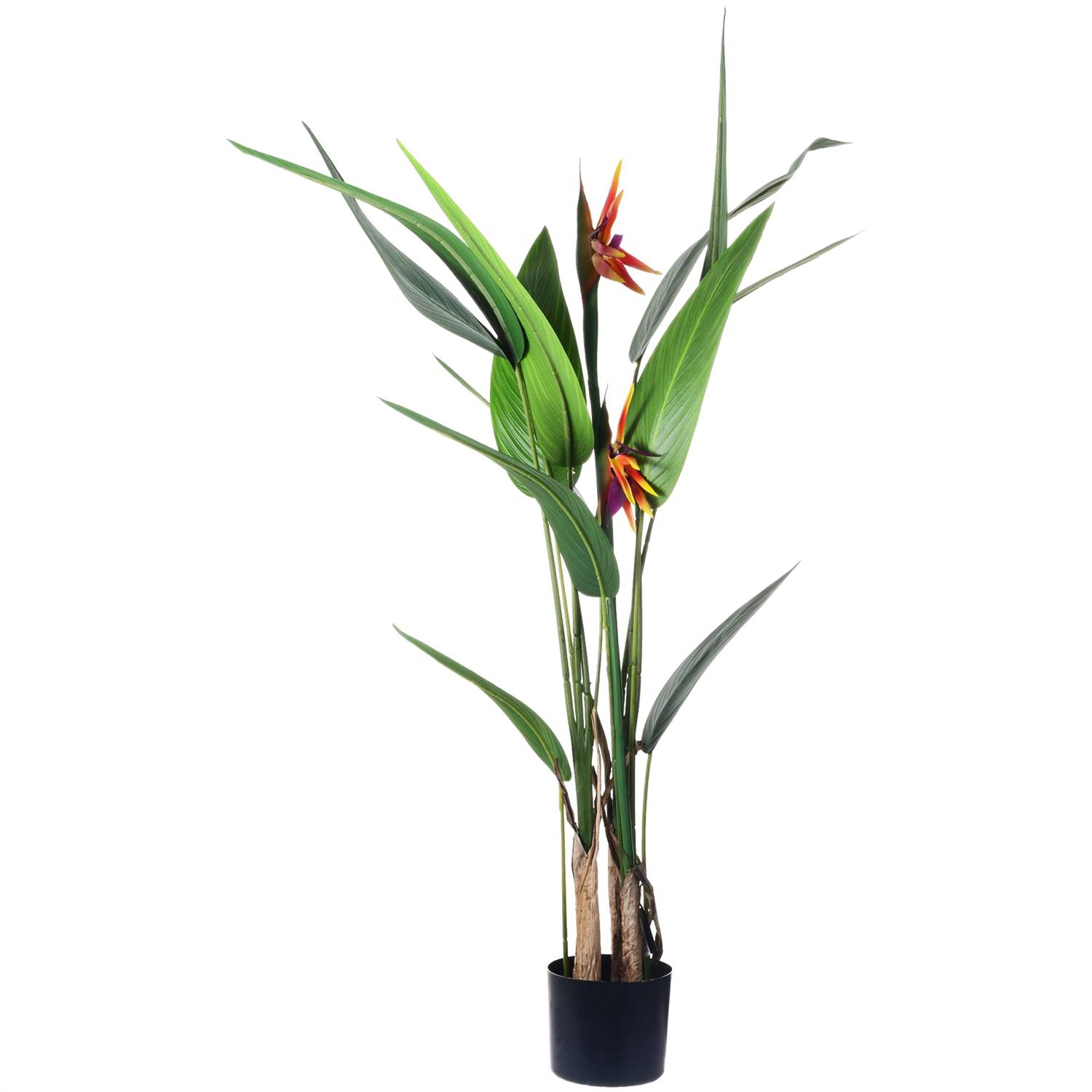 MALLORCA Planta Decorativa Strelitzia 125 Cms. 