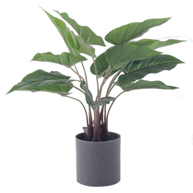 MALLORCA - Planta Decorativa Artificial Alocasia Verde