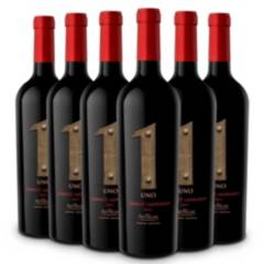 GENERICO - 6 Vinos Uno - Antigal Winery - Cabernet Sauvignon