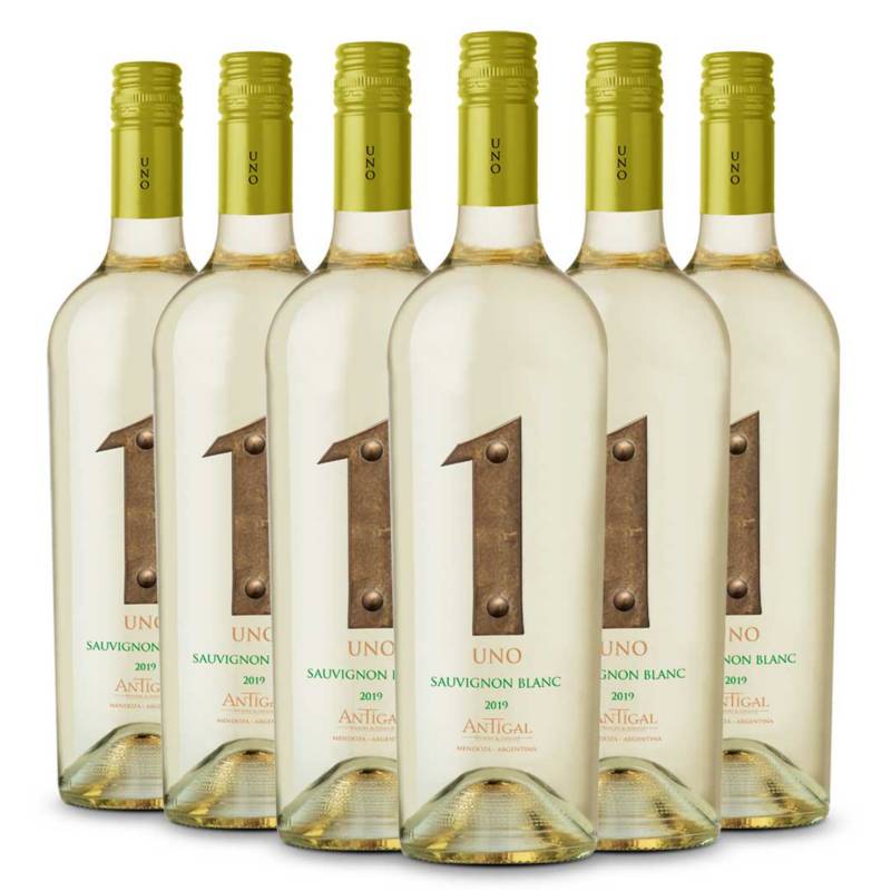 GENERICO - 6 Vinos Uno - Antigal Winery - Sauvignon Blanc
