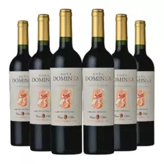 DONA DOMINGA - 6 Vinos Doña Dominga Reserva Cabernet Sauvignon