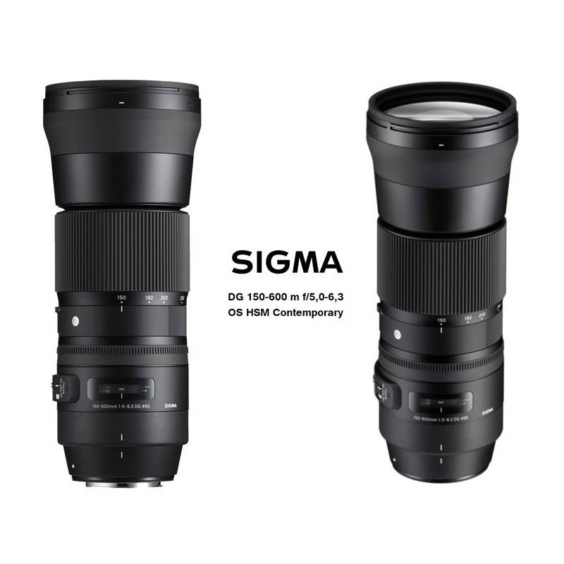 SIGMA 150-600mm F5-6.3DG Contemporary