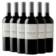 ARESTI WINES - 6 Vinos Trisquel - gran reserva - Cabernet Sauvignon -