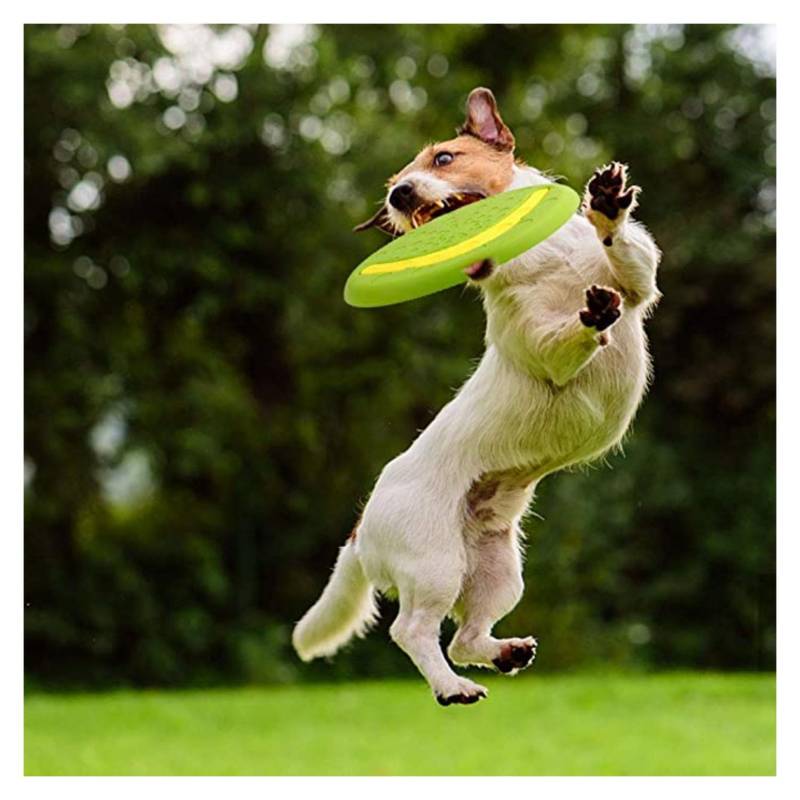 GENERICO Frisbee 2 En 1 Con Boomerang Interactivo Para Mascotas