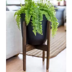 PLANT ME - Pedestal de madera para plantas Picunche L