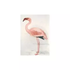 IXXI - Mural IXXI Flamingo Finch Davies 140 x 100
