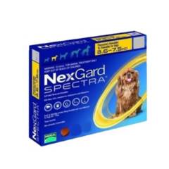 NEXGARD - Nexgard SPECTRA Perros de 3.6 - 7.5  kg 1 Comprimido