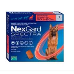 NEXGARD - Nexgard SPECTRA Perros de 30 a 60kg 1 Comprimido