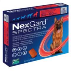 NEXGARD - Nexgard SPECTRA Perros de 30 a 60kg 3 Comprimido