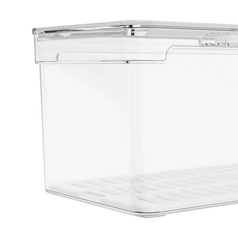 Organizador de Refrigerador Clear Fresh Con Tapa 30 x 15 x 7 cm - Ou Chile