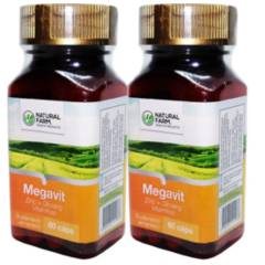NATURAL FARM - Pack 2 Megavit Nf Multi Vitaminico 2x60 Capsulas