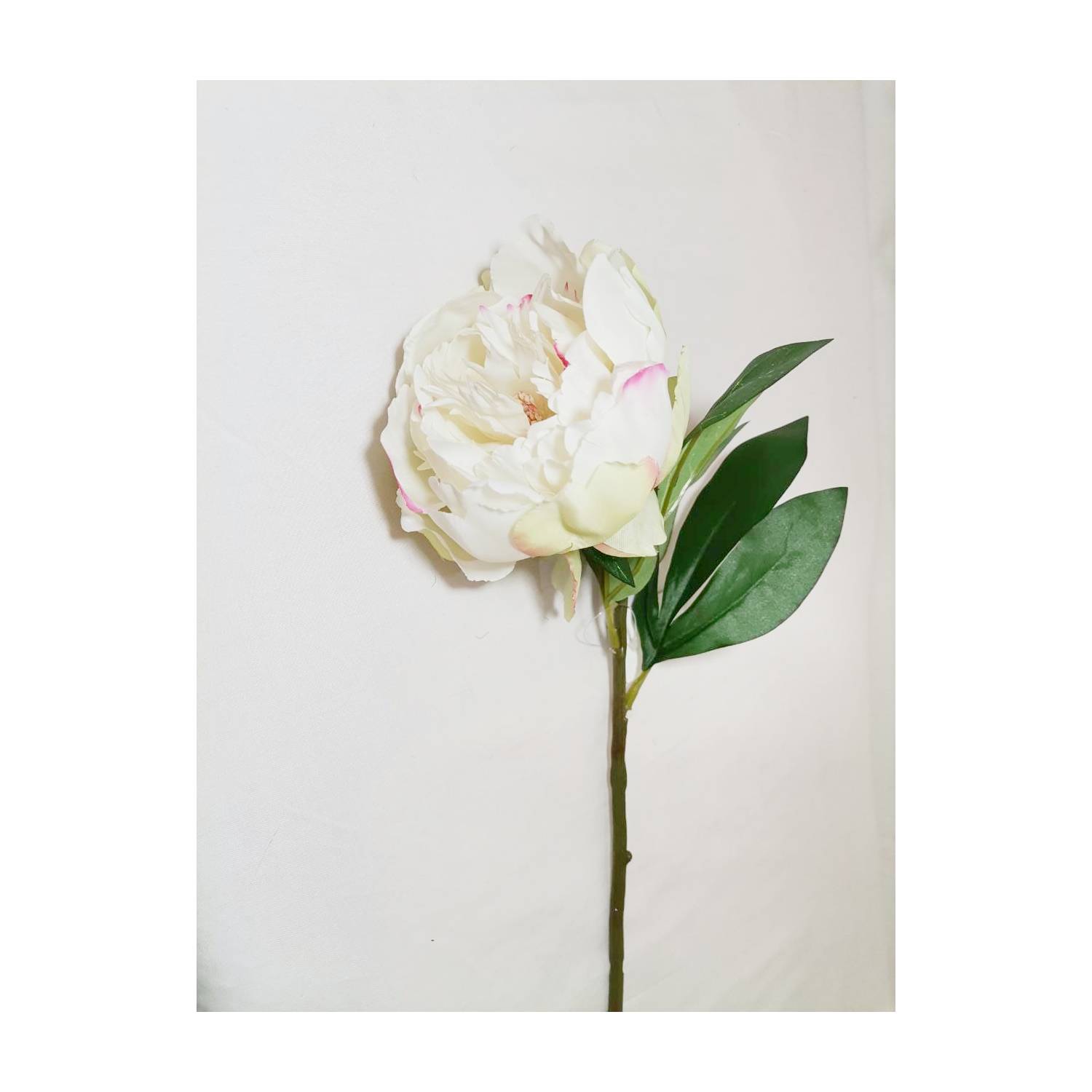 COREL Flor Decorativa Corel Peonia Blanca 45cm 