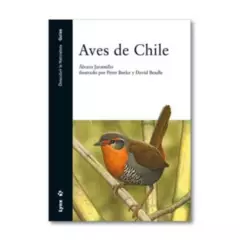 LYNX - Aves De Chile