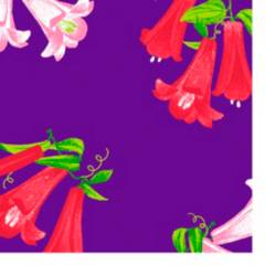 GENERICO - Mantel primaveral rectangular copihues fondo lila