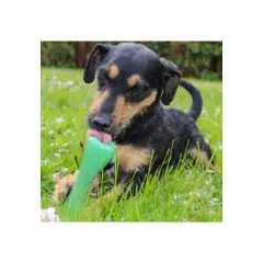 BECO PETS - Beco Bone Verde Talla S juguete para perro