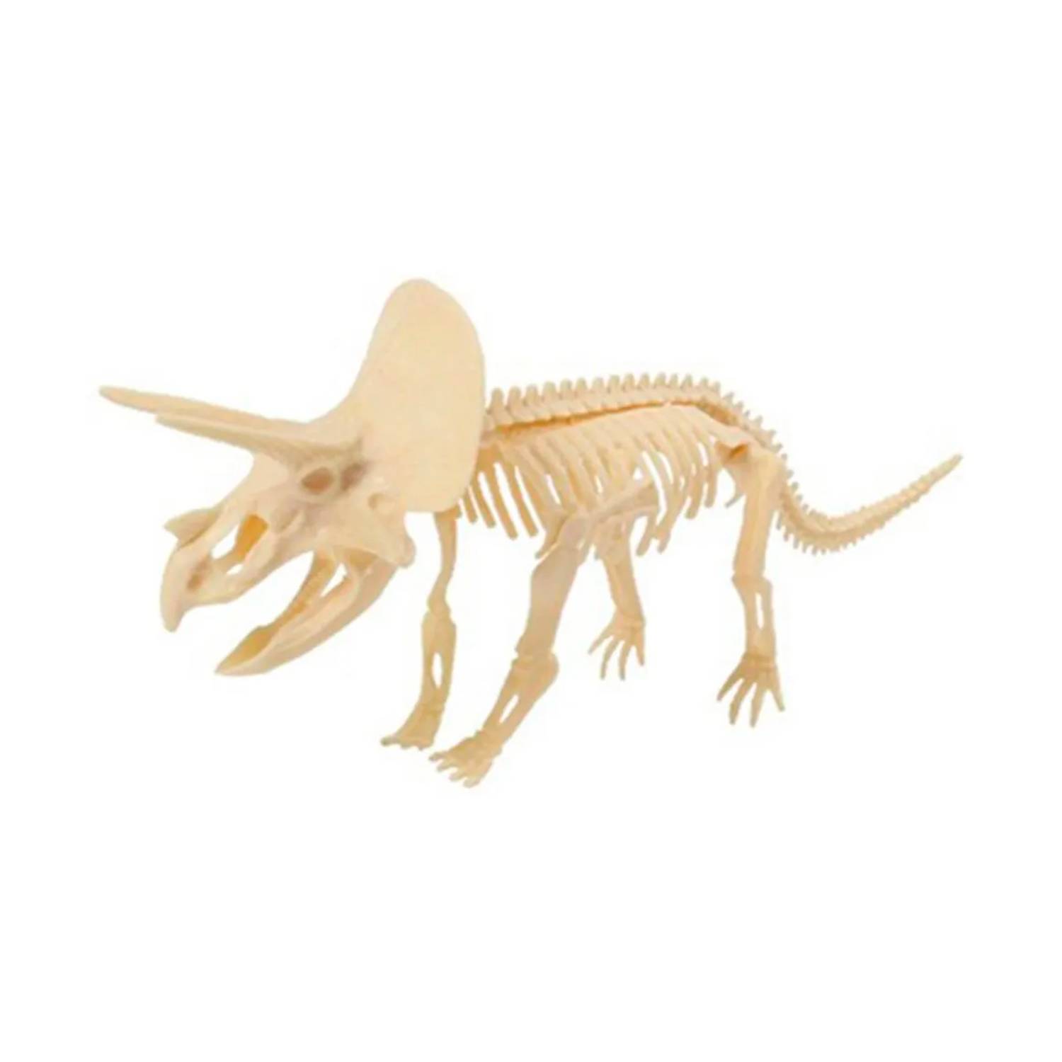 GENERICO Kit Fósil Dinosaurio Esqueleto Maqueta Plástica W-22142 Welife |  