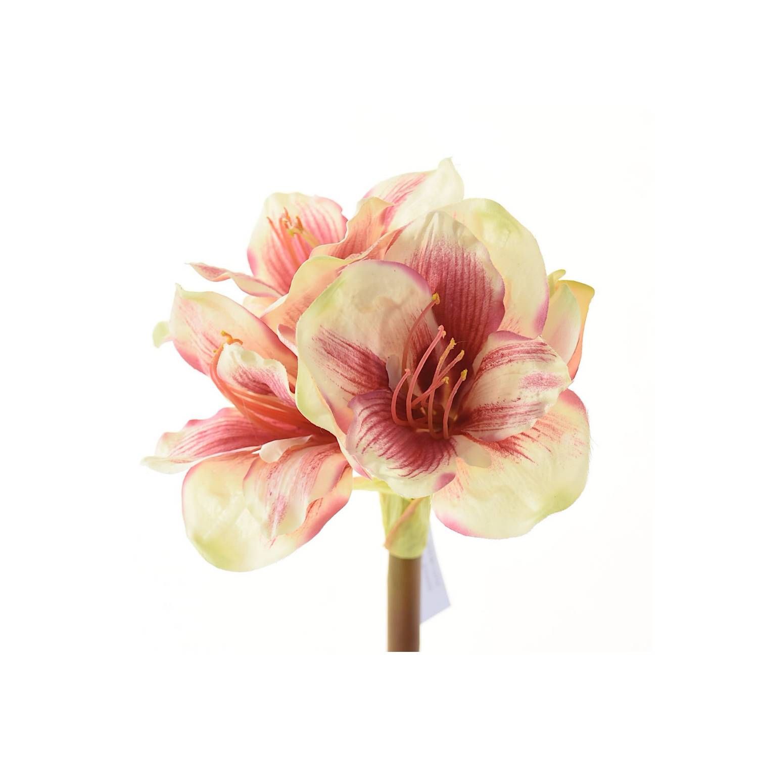 COREL Flor Decorativa Corel Amaryllis Rosa-Blanca 83cm 