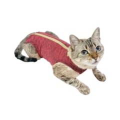 GENERICA - PetMed Body Gatos-Libre De Cobre-Talla 0 - Color Rosa