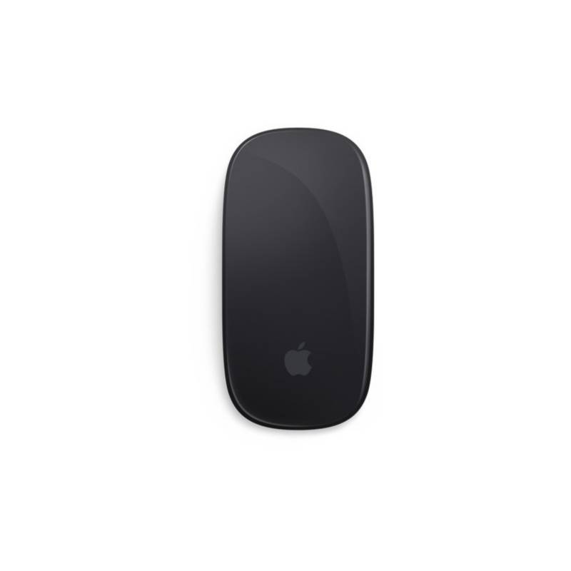 APPLE - Apple magic mouse 2 (gris espacial)
