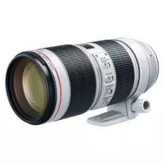 CANON - Canon EF 50mm f/1.4 USM Lens - Black