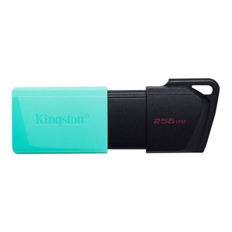 KINGSTON - Pendrive Kingston 256gb Usb 3.2 Datatraveler Exodia M
