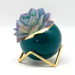 SORENTO - Maceta Verde Minimalista Con Pedestal