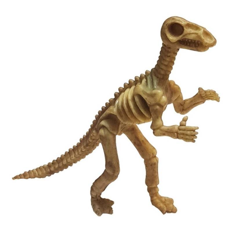 BIGBAMSPACE Dinosaurios Juguetes Esqueletos de Triceratops M 