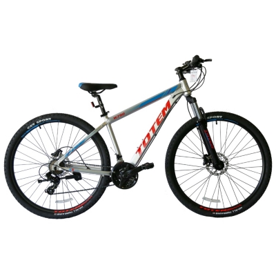 BICICLETA TOTEM MTB ARO 29 17 MOD W790 COLOR PLATEA Coolebra