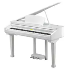KURZWEIL - Kag100 Whp Whp Piano Digital Kurzweil KURZWEIL