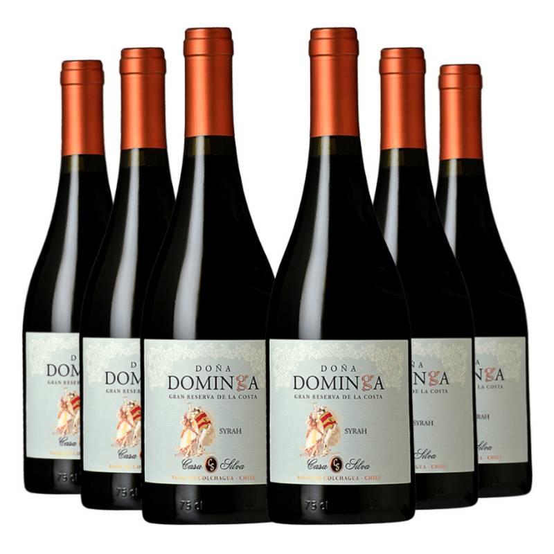 DOMINGA - 6 vinos Doña Dominga Reserva de Familia Syrah