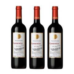 VON SIEBENTHAL - 3 Vinos Von Siebenthal Gran Reserva Carmenere