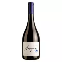 AMAYNA - Vino Amayna Pinot Noir 