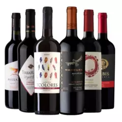 BBVINOS - 6 Vinos Mix Plus Reserva Cabernet Sauvignon