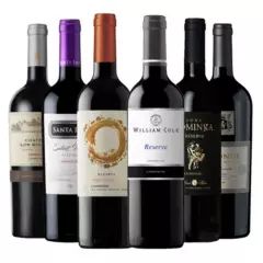 BBVINOS - 6 Vinos Mix Plus Reserva Carmenere