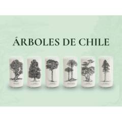 GREEN GLASS - Juego de 6 Vasos Árboles de Chile