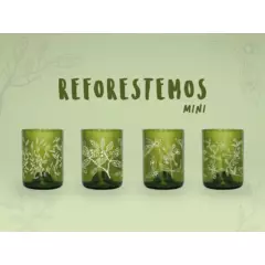 GREEN GLASS - Mini Reforestemos Juego de 4 Vasos