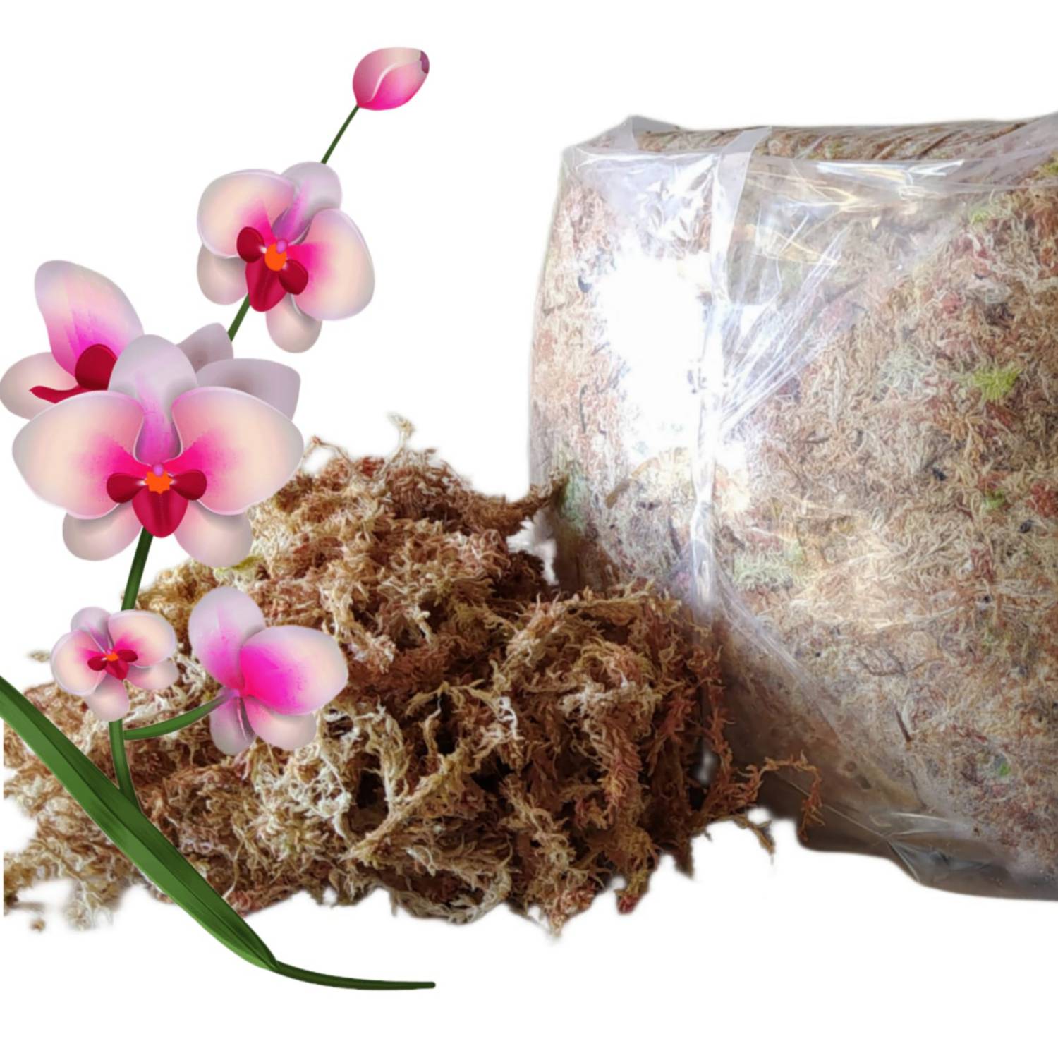 Musgo esfagnum natural de 10 onzas para plantas, musgo de orquídea seca de  22 cuartos para trasplantar la humedad, musgo vegetal para plantas en