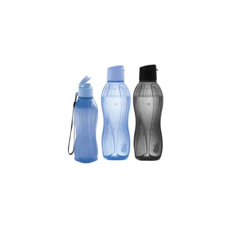Set 2 Botellas de Agua 500ml Libre de BPA