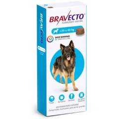 BRAVECTO - Bravecto Perro 20 a 40 Kg Antiparasitario 3 meses