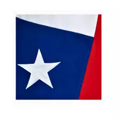 GENERICO - Bandera Chilena de 290X450 calidad superior con la Estrella Bordada…