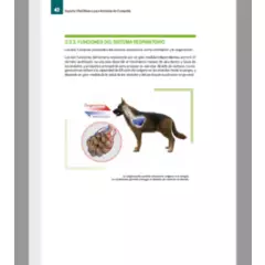 GENERICO - Manual de Soporte Vital Básico para Animales de Compañía