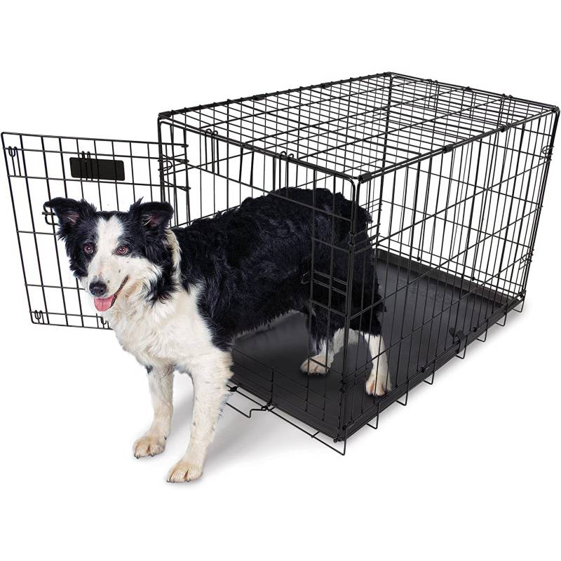 ASPEN PET - Canil para perros Aspen Pet talla M hasta 23 kg