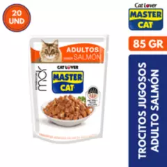MASTER CAT - Master Cat trocitos en salsa sachet SALMON 100gr x20 UND