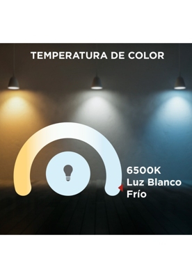 Proyector LED 20W sensor movimiento luz fría negro Westinghouse