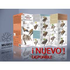 MUSEO EDICIONES - Murciélagos de Chile