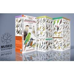 MUSEO EDICIONES - Aves del Sur de Chile y Patagonia